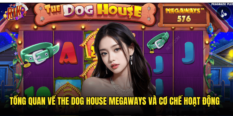 Tổng Quan Về The Dog House Megaways Và Cơ Chế Hoạt Động