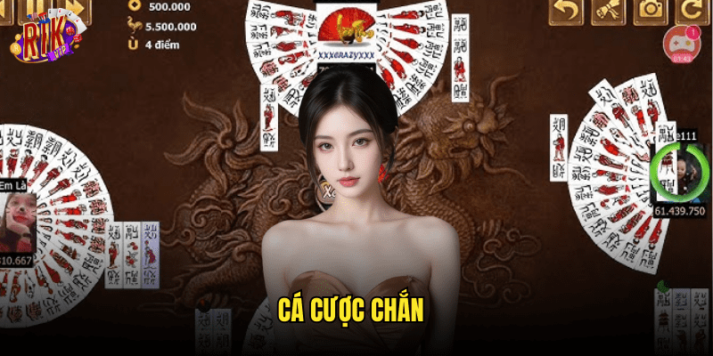 Cá Cược Chắn